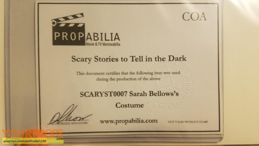 Scary stories to tell in the dark original movie costume