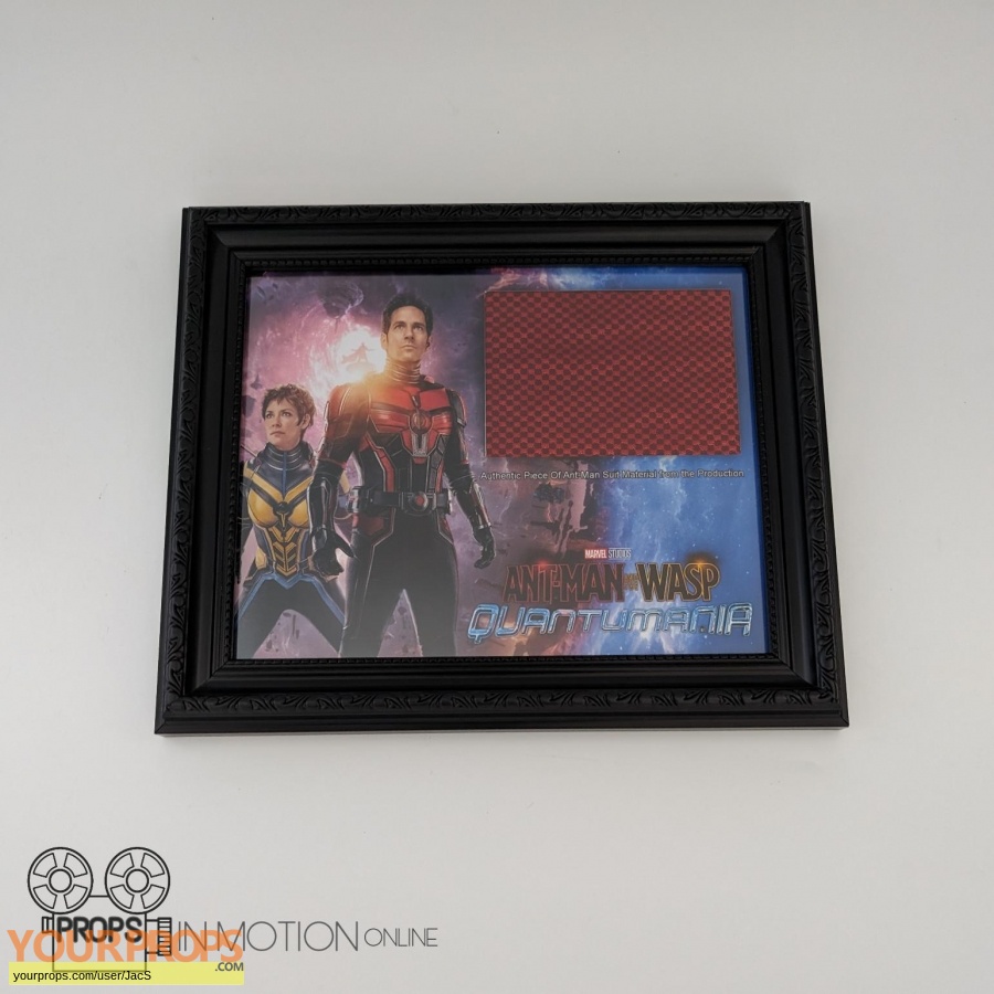Ant-Man and the Wasp Quantumania original movie prop