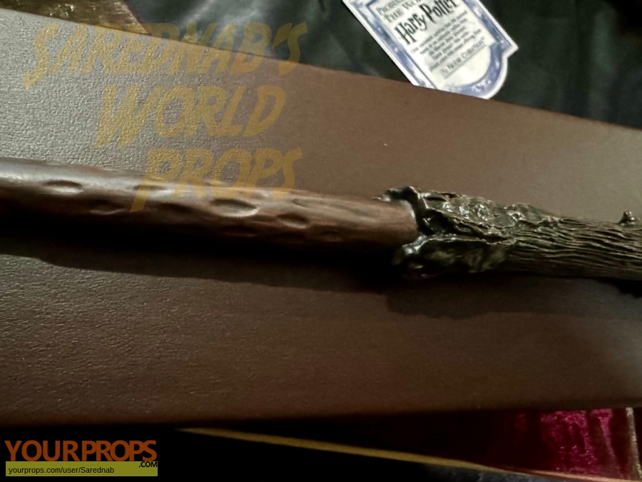 Harry Potter and the Chamber of Secrets The Noble Collection movie prop