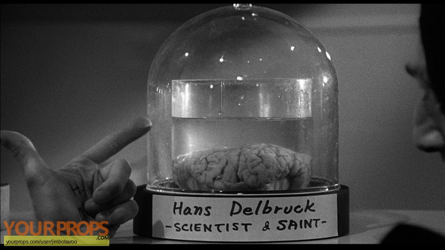 Young Frankenstein Brain of Hans Delbruck and Abnormal ...