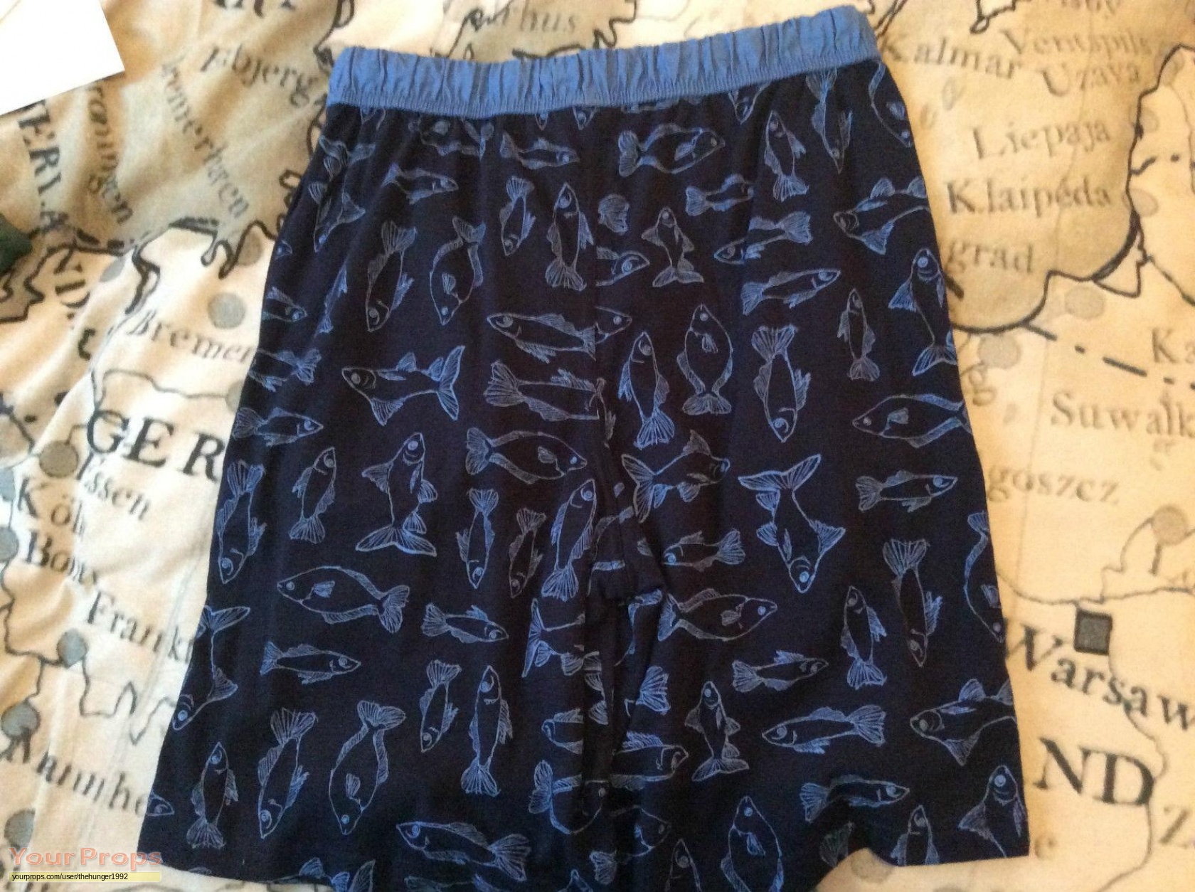 Dolphin Tale 2 Swimming trunks Nathan Gamble original movie costume