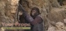 Planet of the Apes original movie prop weapon