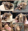 The Dark Crystal scaled scratch-built movie prop
