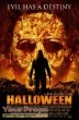Halloween (Rob Zombies) original movie costume