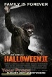 Halloween 2 (Rob Zombies) original movie costume