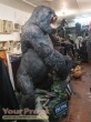 King Kong replica production material