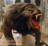 An American Werewolf in London replica movie prop