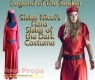 Legend of The Seeker original movie costume