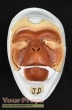 Planet of the Apes original make-up   prosthetics