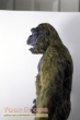 King Kong replica model   miniature