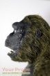 King Kong replica model   miniature