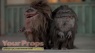 Critters 2  The Main Course original movie prop