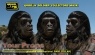 Planet of the Apes replica make-up   prosthetics
