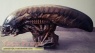 Alien  Resurrection replica film-crew items