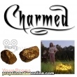 Charmed original movie prop