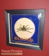 Arachnophobia original movie prop