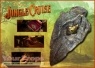Jungle Cruise original movie prop