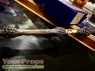 Harry Potter and the Philosopher s Stone The Noble Collection movie prop