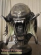 Aliens vs  Predator - Requiem Sideshow Collectibles production material