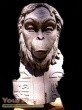 Beneath the Planet of the Apes original movie prop