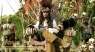 Pirates of the Caribbean  Dead Mans Chest original set dressing   pieces