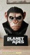 Dawn of the Planet of the Apes replica movie prop