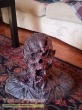 Friday the 13th  Part 6  Jason Lives Master Replicas movie prop